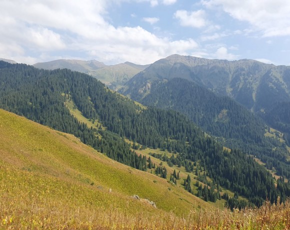 Экокалендарь. Август