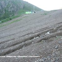 Природа теряет, но получает больше?! (Реплика)