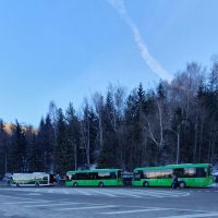 Суд выигран! Что дальше?