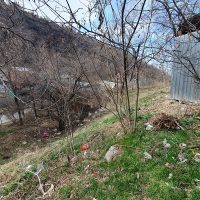 Обзор судебной практики Экологического общества «Зеленое спасение» за 2025 год