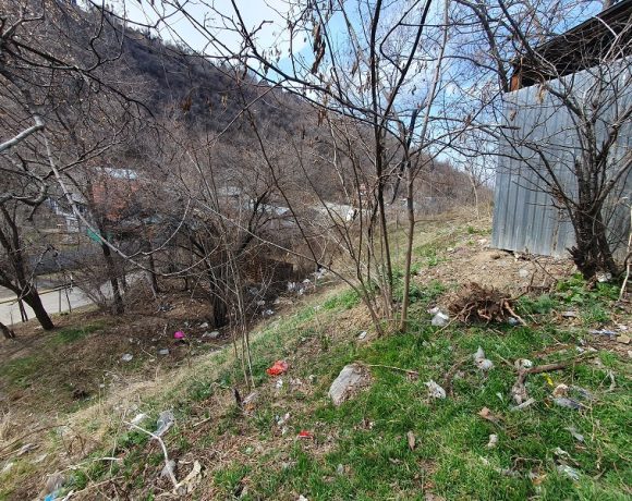 Обзор судебной практики Экологического общества «Зеленое спасение» за 2025 год