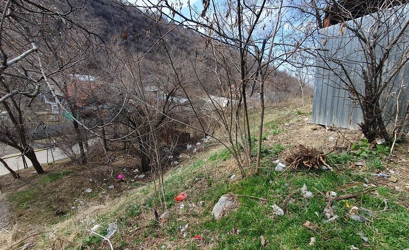 Обзор судебной практики Экологического общества «Зеленое спасение» за 2025 год