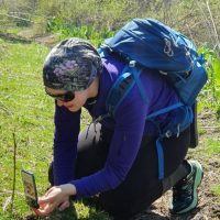 Стань исследователем своего города: участвуй в City Nature Challenge