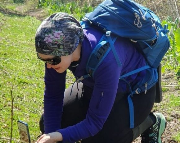 Стань исследователем своего города: участвуй в City Nature Challenge