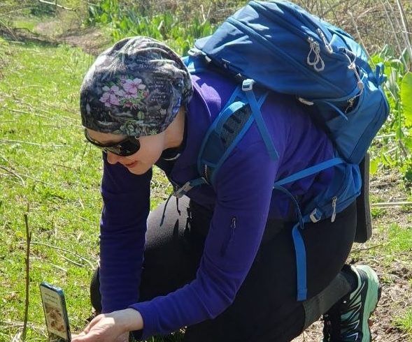 Стань исследователем своего города: участвуй в City Nature Challenge