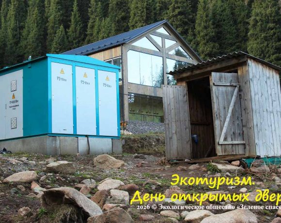 Экологический туризм или экологический ущерб?