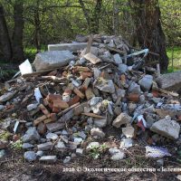 Ударные стройки капитализма на «пороге дикой природы» (Наше досье)