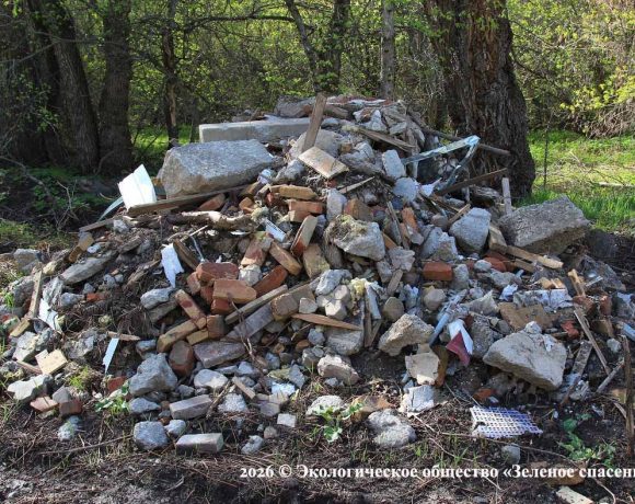 Ударные стройки капитализма на «пороге дикой природы» (Наше досье)