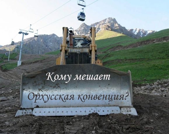 Праздники непослушания, или Кому мешает Орхусская конвенция?