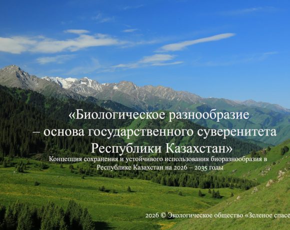 О чем не дали заявить на общественных слушаниях