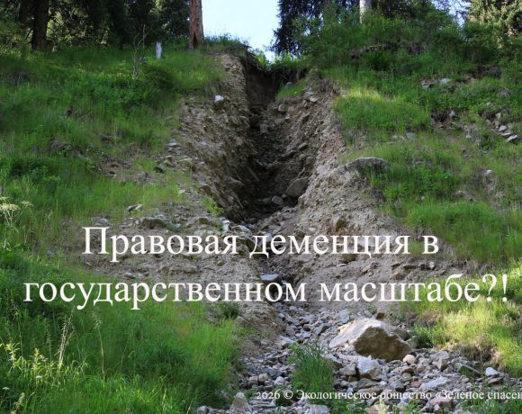 Правовая деменция в государственном масштабе?!