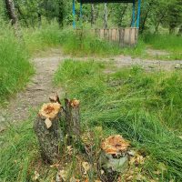 Как Малую Алматинку делают удобной и безопасной!