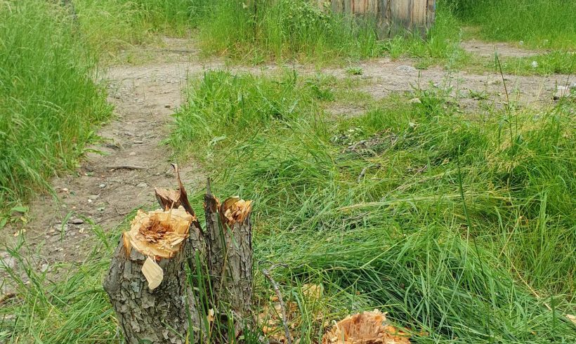 Как Малую Алматинку делают удобной и безопасной! Как Малую Алматинку делают удобной и безопасной!