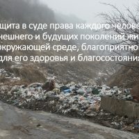 Экологические права: защита в суде