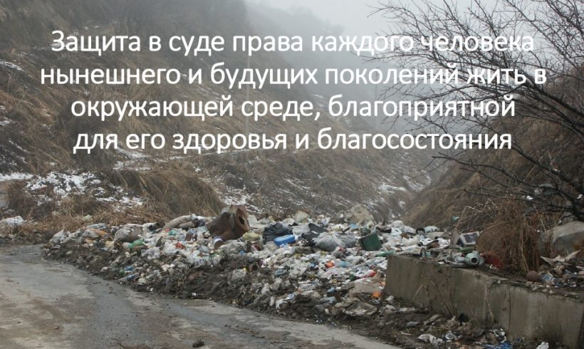 Экологические права: защита в суде